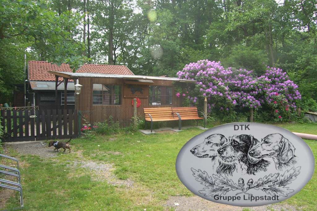 SAMSUNG DIGITAL CAMERA