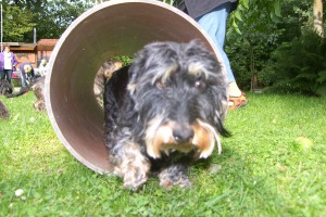 SAMSUNG DIGITAL CAMERA