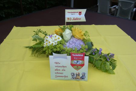 SAMSUNG DIGITAL CAMERA