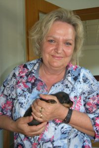 SAMSUNG DIGITAL CAMERA