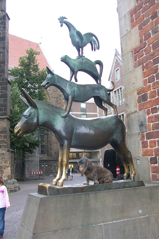 SAMSUNG DIGITAL CAMERA