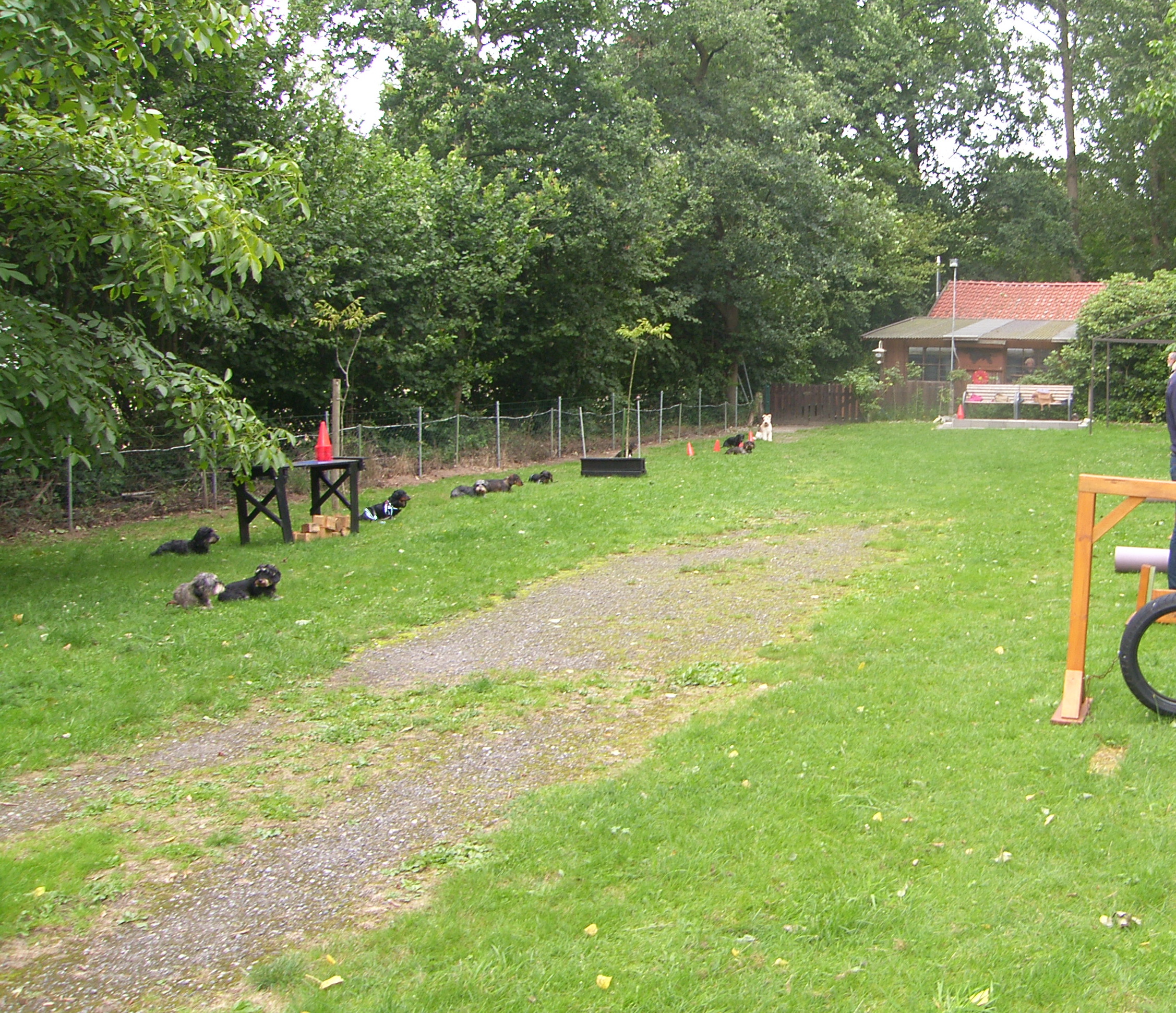 SAMSUNG DIGITAL CAMERA