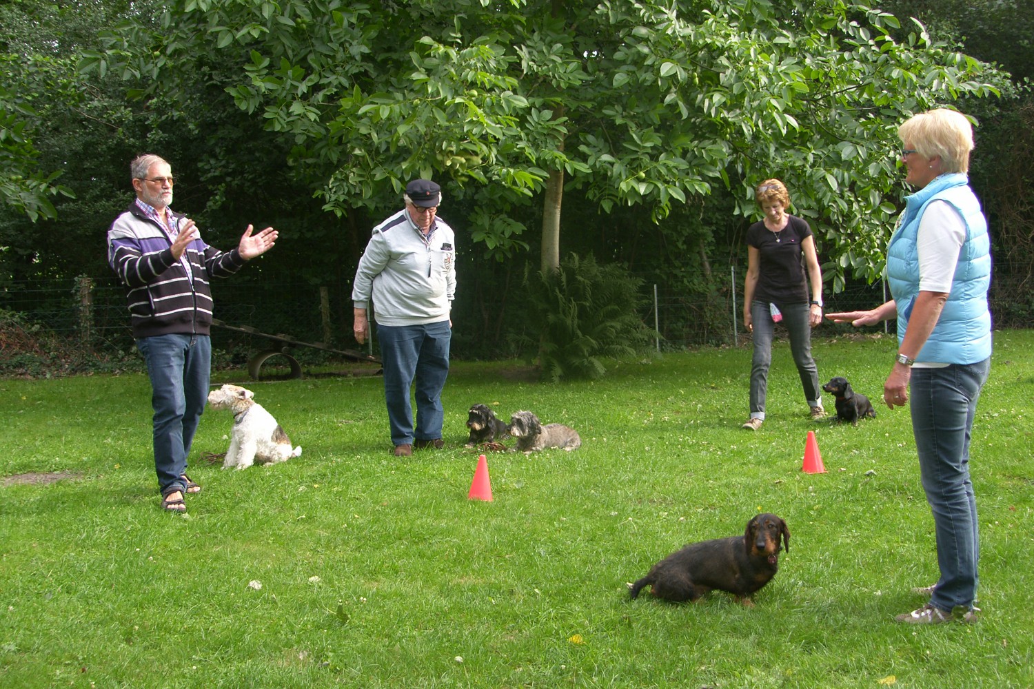 SAMSUNG DIGITAL CAMERA