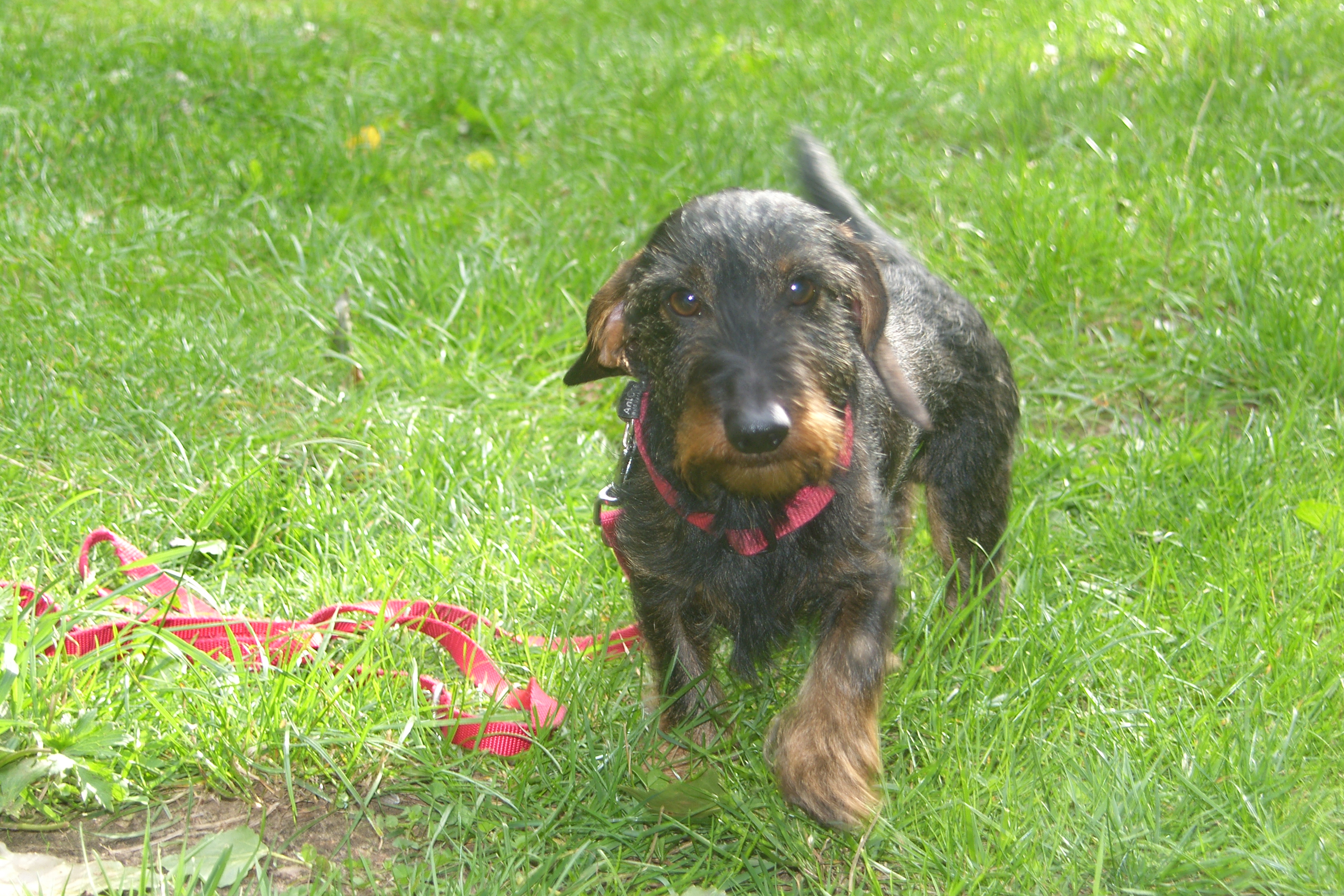 SAMSUNG DIGITAL CAMERA