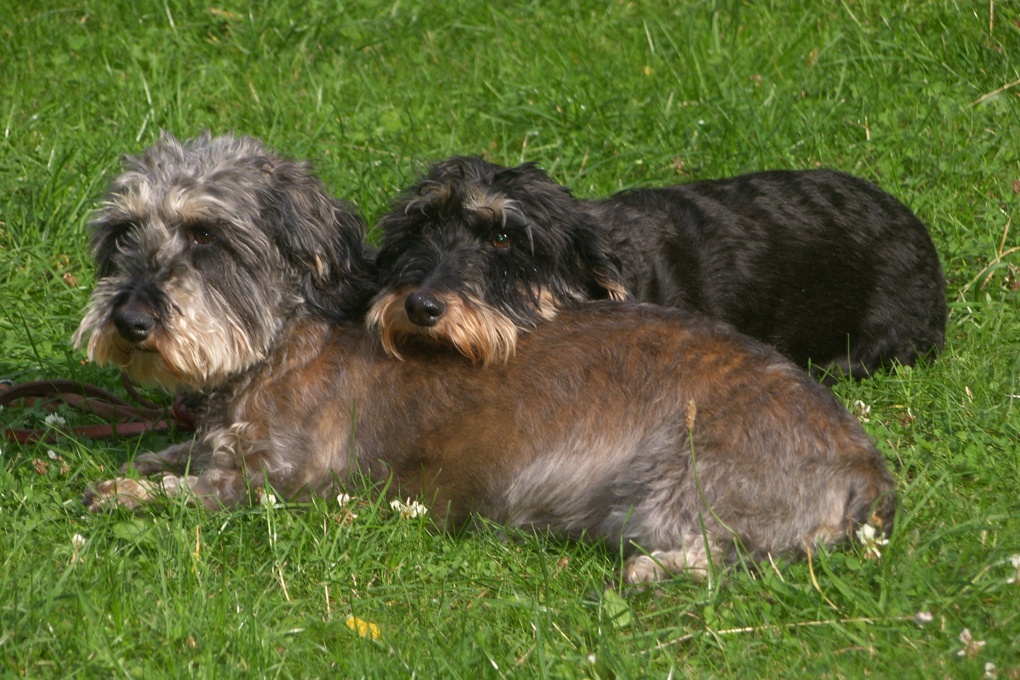 SAMSUNG DIGITAL CAMERA