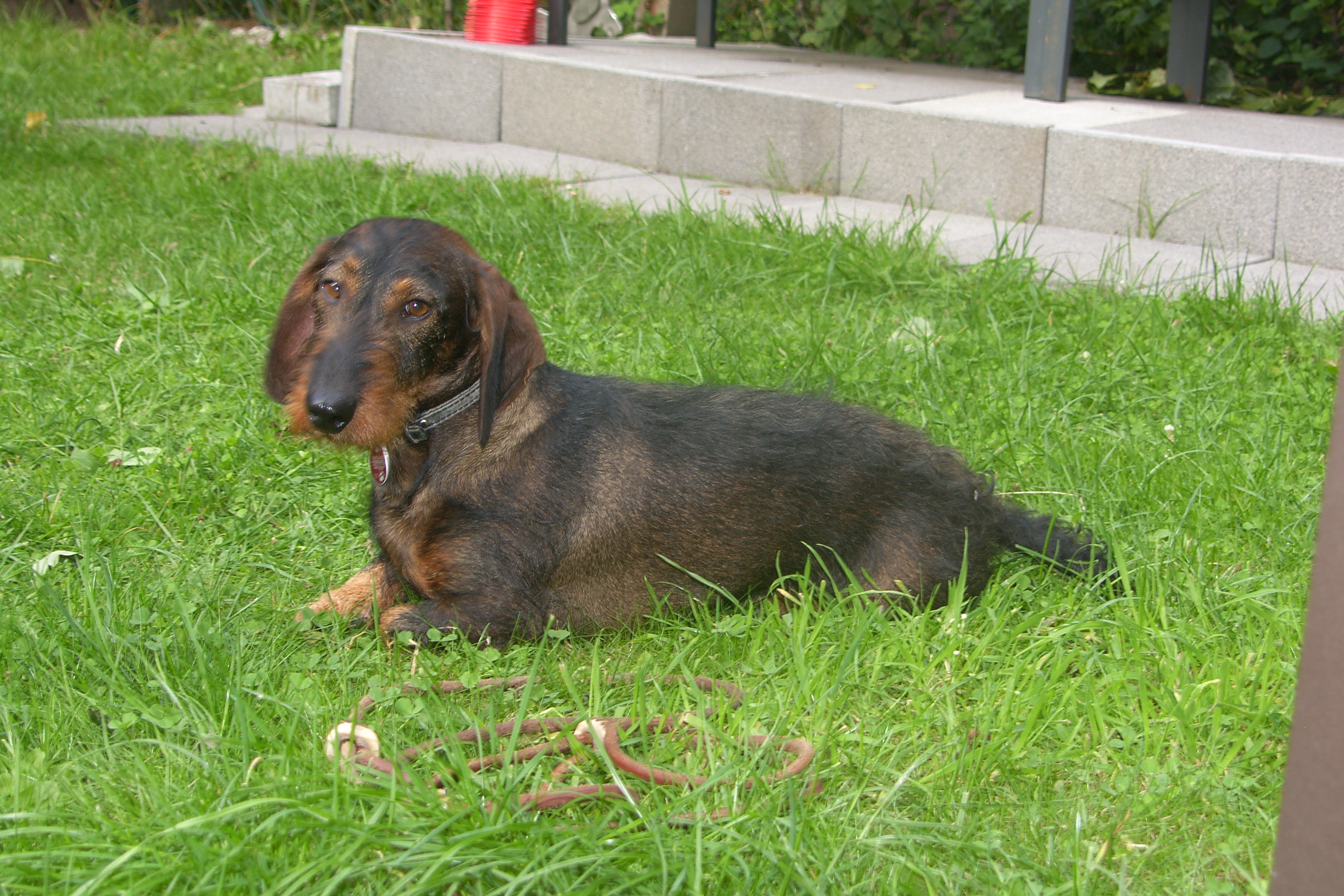 SAMSUNG DIGITAL CAMERA