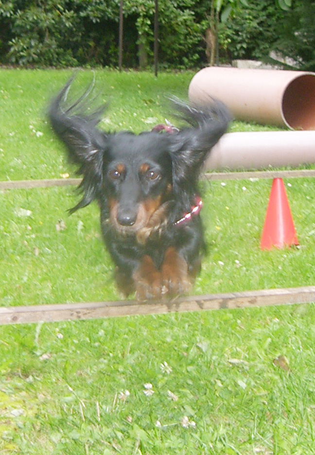 SAMSUNG DIGITAL CAMERA