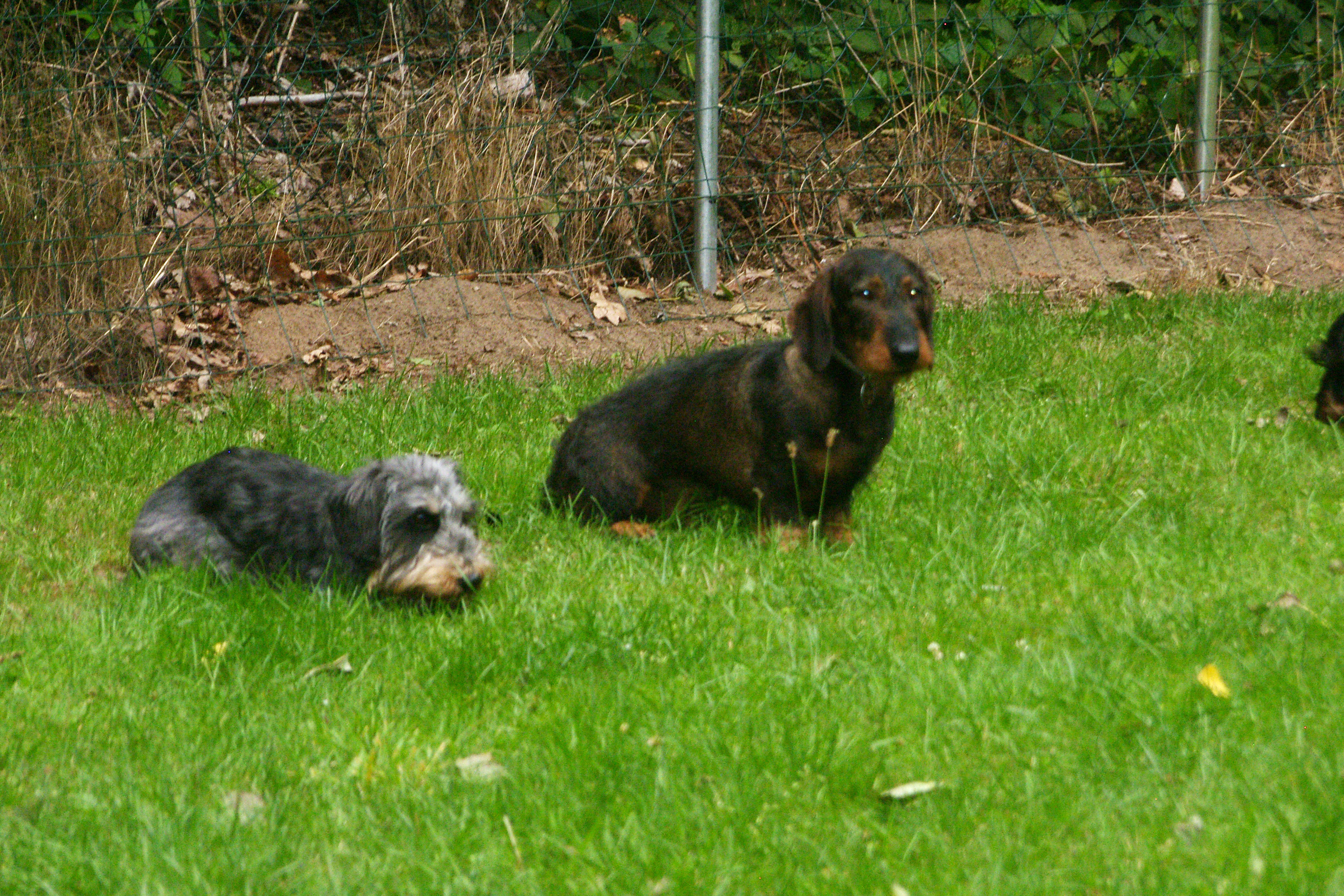 SAMSUNG DIGITAL CAMERA