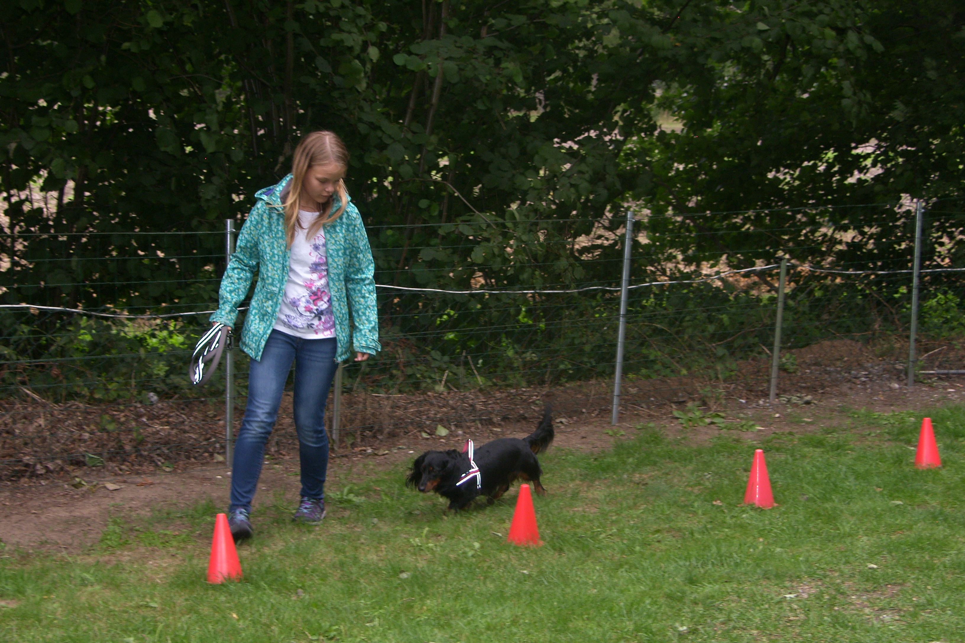 SAMSUNG DIGITAL CAMERA