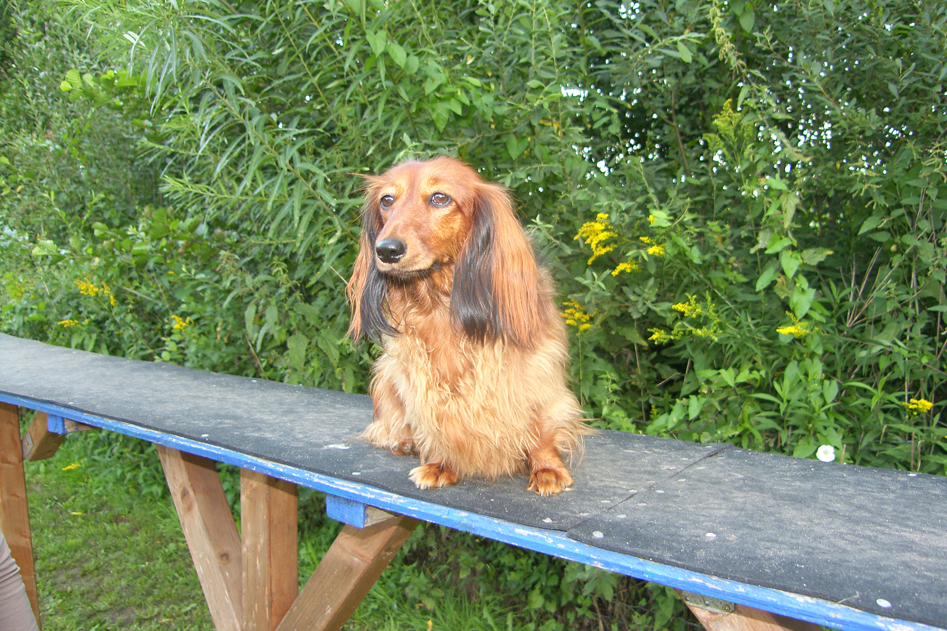 SAMSUNG DIGITAL CAMERA