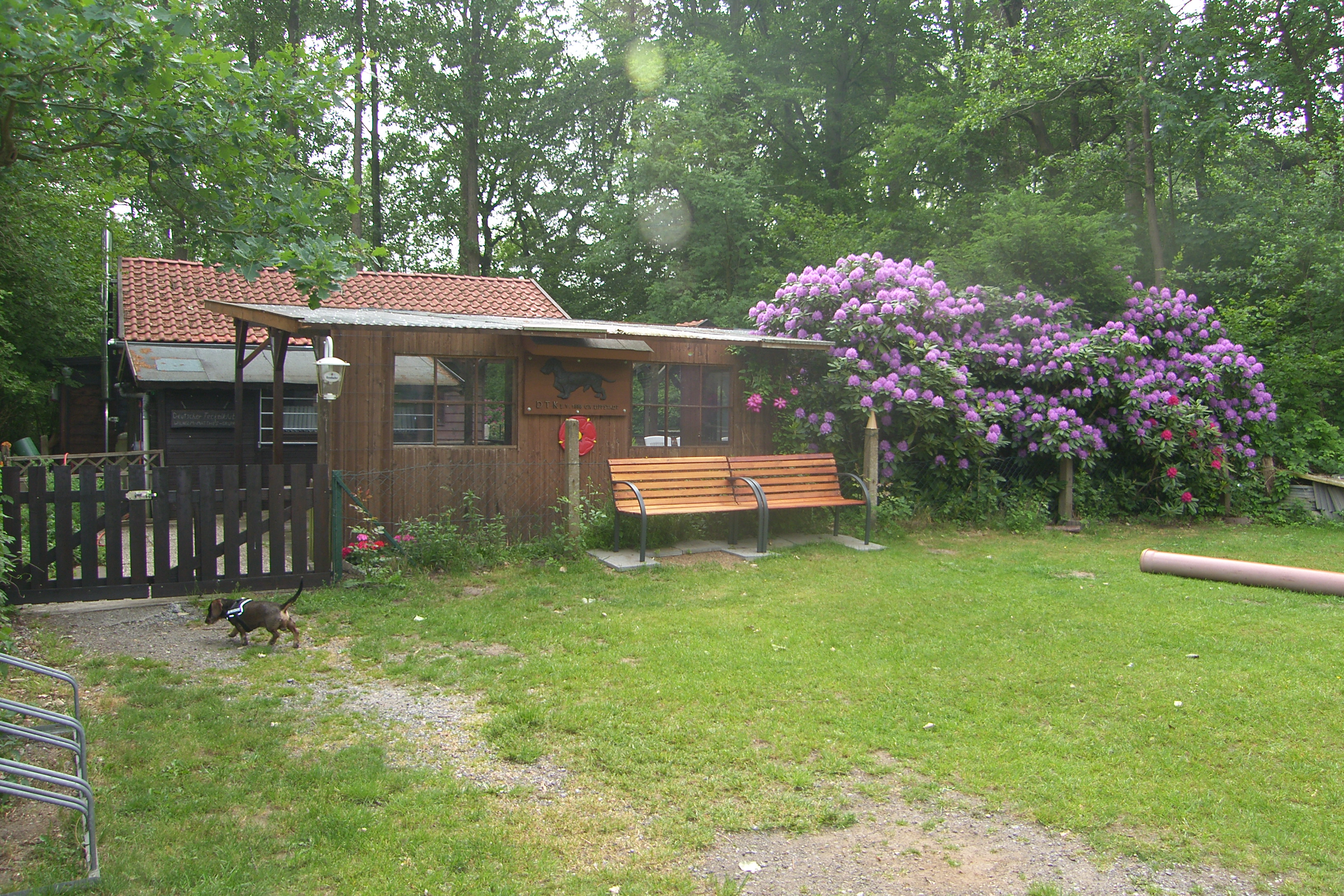 SAMSUNG DIGITAL CAMERA