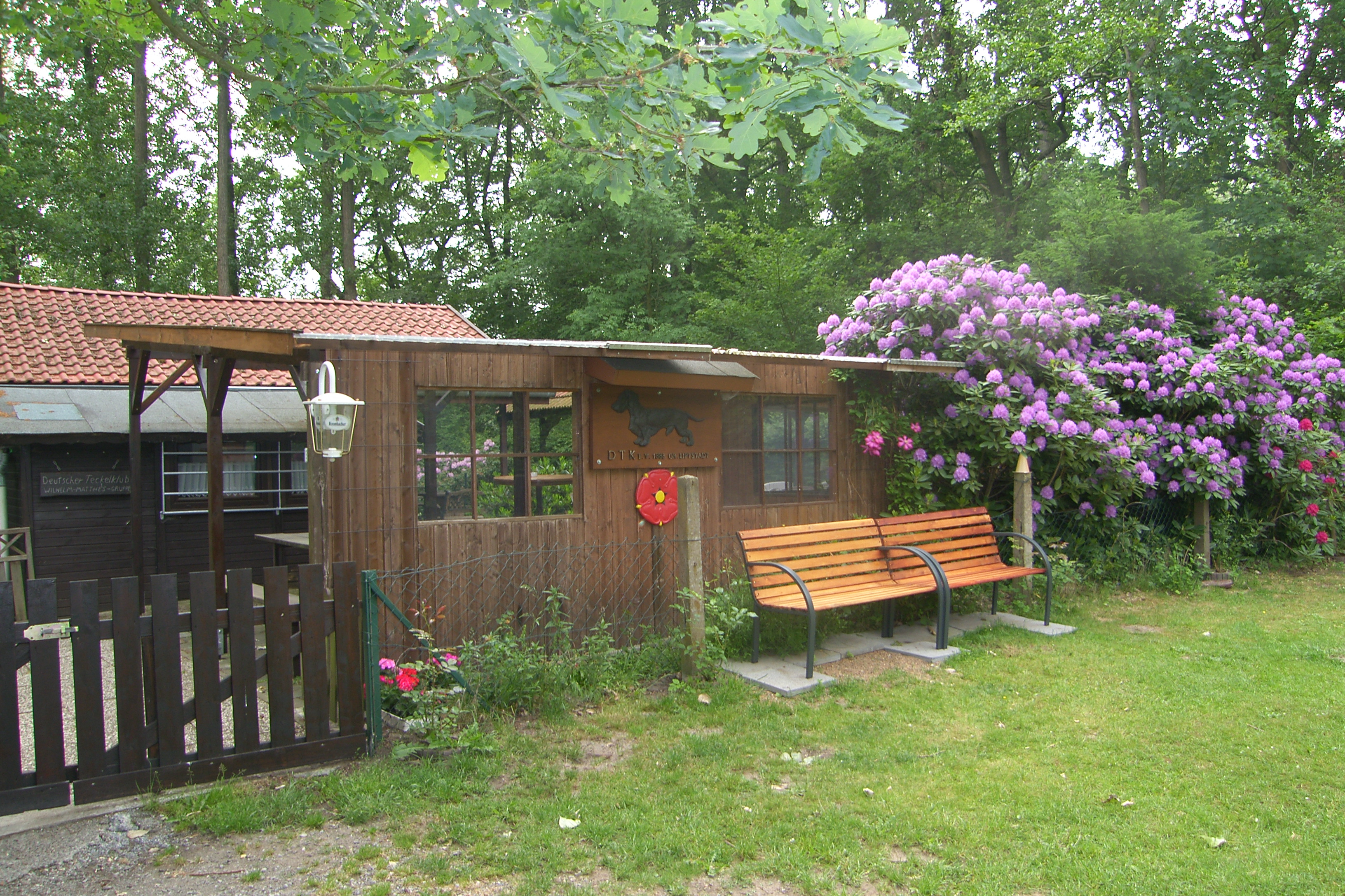 SAMSUNG DIGITAL CAMERA