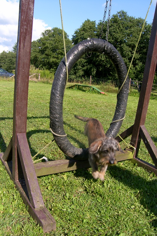 SAMSUNG DIGITAL CAMERA