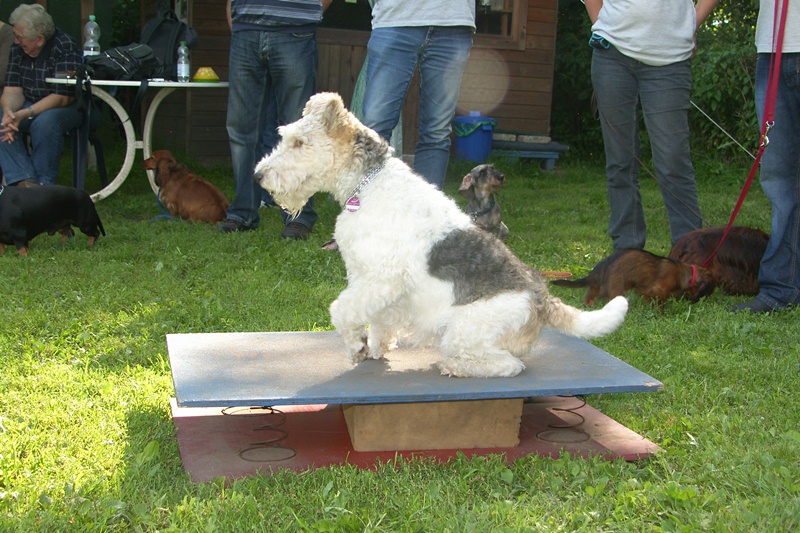 SAMSUNG DIGITAL CAMERA