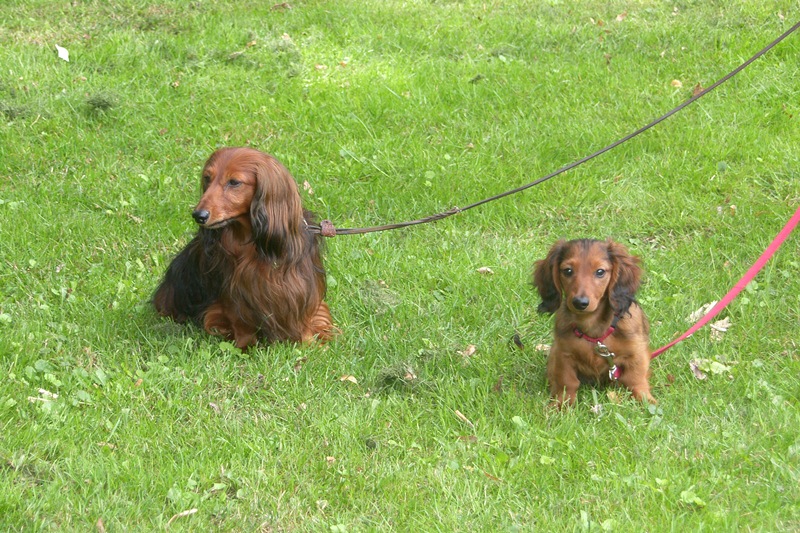 SAMSUNG DIGITAL CAMERA