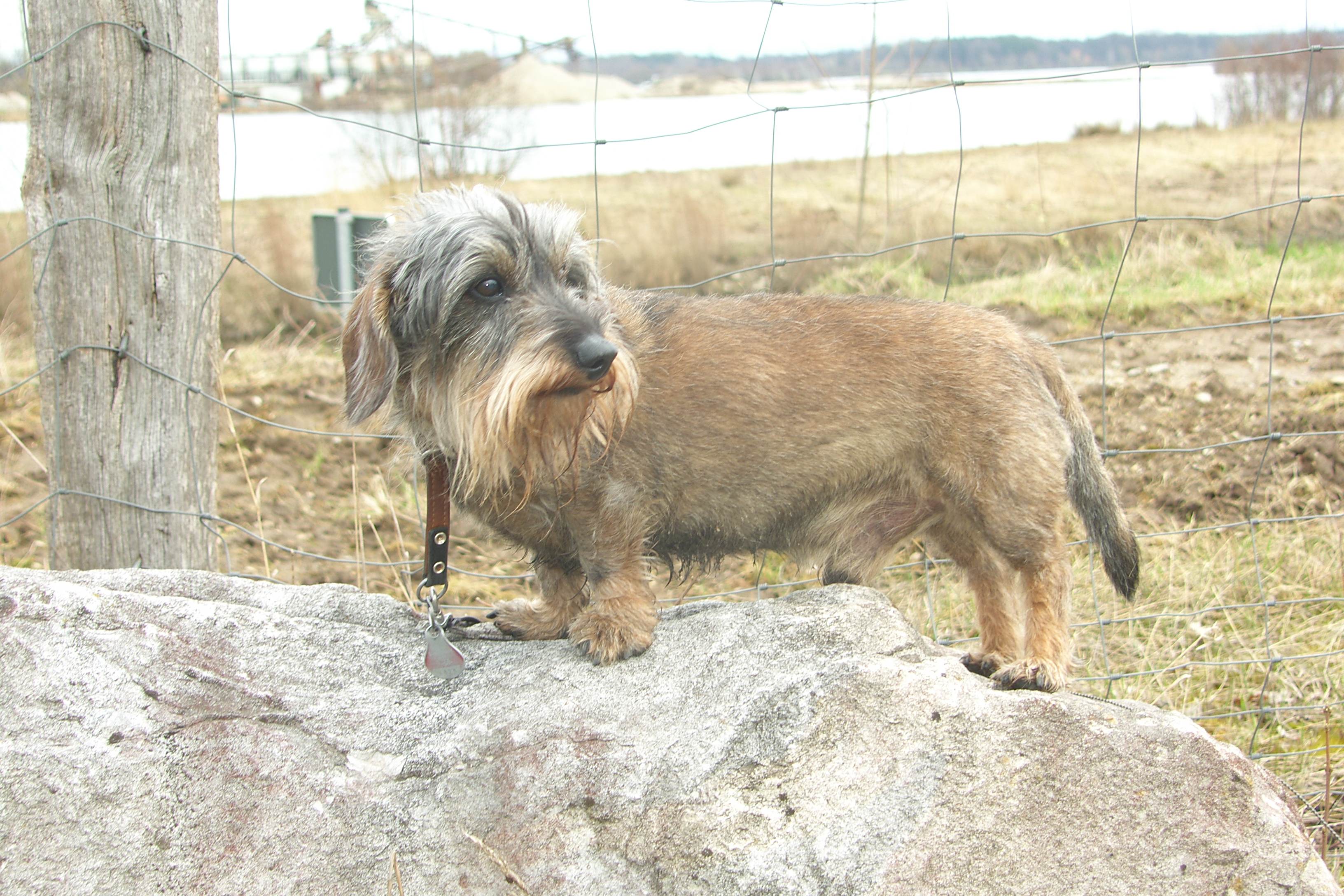 SAMSUNG DIGITAL CAMERA