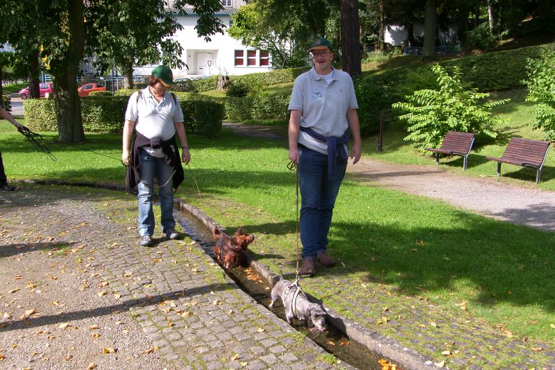 SAMSUNG DIGITAL CAMERA