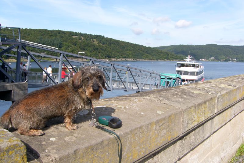 SAMSUNG DIGITAL CAMERA