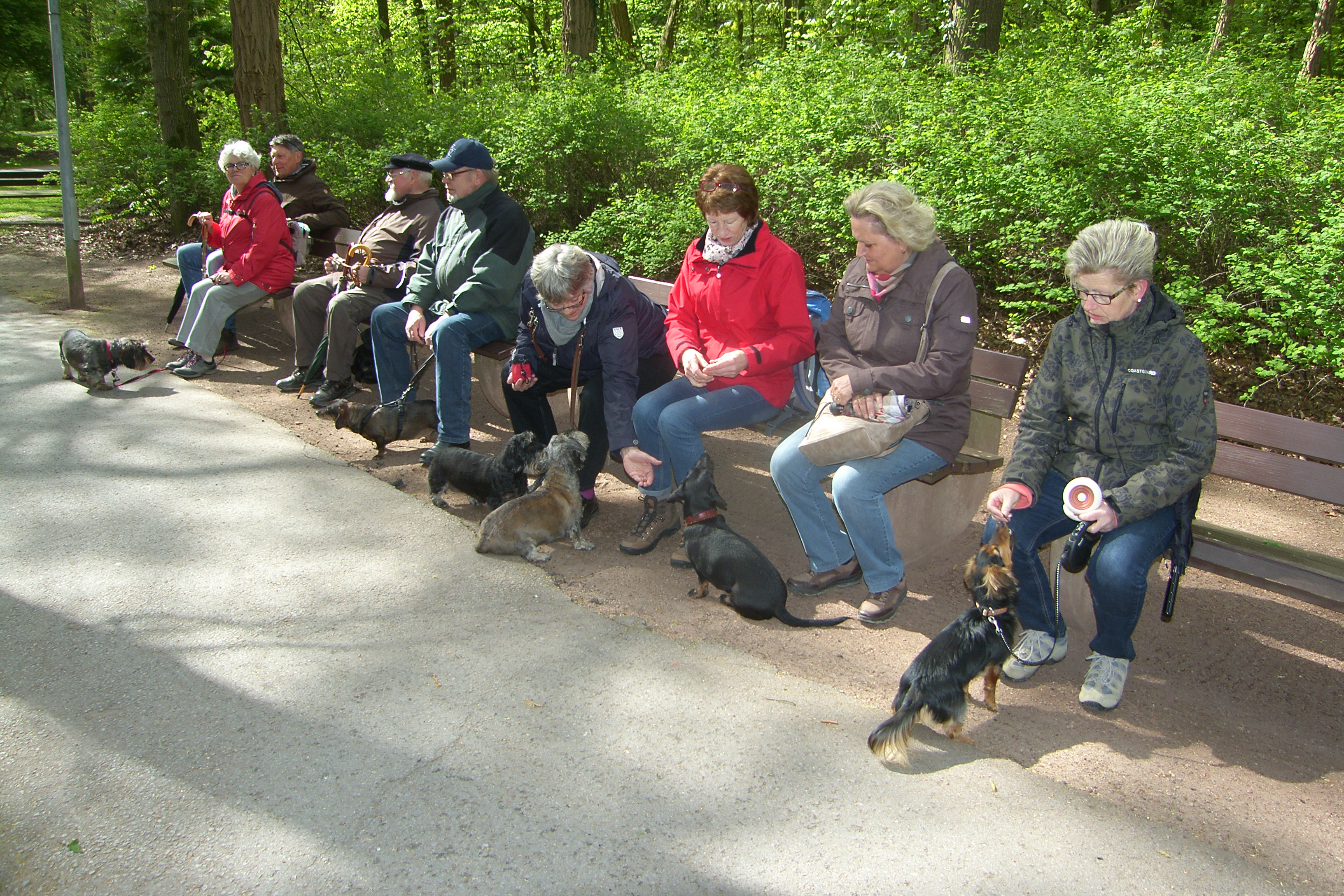 2016 Bad Waldliesborn